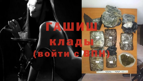 гидра Ладушкин