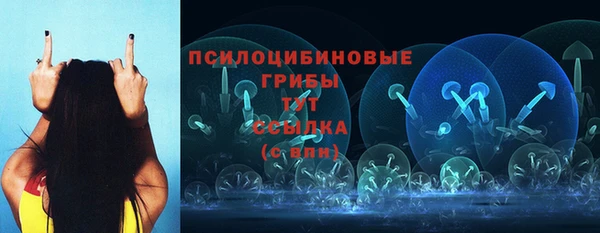 прущие крисы Лабытнанги