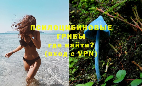 гидра Ладушкин