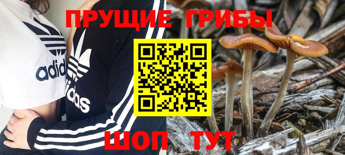 Галлюциногенные грибы ЛСД  Псилоцибиновые грибы прущие грибы  Вход с VPN  Рыбинск 